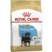 Royal Canin Dog Food Rottweiler Puppy 12kg - Buy Online on GoSupps.com