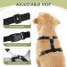 Slowton XXS Dog Harness with Safety Belt for Car - Breathable Latex Puppy Harness for Everyday Sports - Gray - Buy Online on GoSupps.com