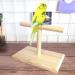 LINSHRY Portable Bird Training Stand - Ideal for Parakeets, Conures, Lovebirds, and Cockatiels - Buy Online on GoSupps.com