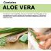 First Aid Burn Dressing - Hydrogel Pads for Soothing Burns & Wounds Aloe Vera 4x4 Pack of 6 International Shipping Available - Buy Online on GoSupps.com