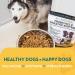 The Healthy Dog Co Probiotic Powder for Dogs - Digestive Enzymes & Fibre Supplement - 140g - Buy Online on GoSupps.com