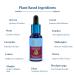 Blue Nectar Manjistha Vitamin C Face Serum - Anti-Aging & Skin Firming | Plant-Based Formula with 13 Herbs for Glowing Skin (1 Fl Oz - Buy Online on GoSupps.com