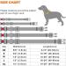 Taglory Medium Dog Collar - Soft Padded Neoprene Nylon Adjustable & Reflective for Training Gray (1 Pack) - International Shipping Available - Buy Online on GoSupps.com