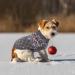 Buy Idepet Winter Dog Sweater - Warm & Stylish Pet Pullovers for Small & Medium Dogs & Cats | Cozy Gray XS Clothing - Buy Online on GoSupps.com