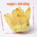 Natural Crystal Rough Specimen Natural Crystal Cluster Clear Quartz Crystal Rock Stones and Crystals ReikiSpecimen Home Decor GiftsStone (Color : Green 2 Size : 400-500g) - Buy Online on GoSupps.com