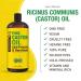Organic 100% Pure Castor Oil | 32 fl oz Bottle | Cold Pressed & Hexane Free | Hair Growth, Thick Eyelashes & Eyebrows, Skin Healing | Joint & Muscle Pain Relief | Hair Care | (1 Pack) - Buy Online on GoSupps.com