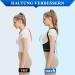 Ergostrap Home Trainer Back Support Belt | Falkeco & Spine Pro Posture Correctors - Adjustable Back Straightener for Optimal Support - Buy Online on GoSupps.com