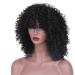 Curly Hair Wigs for Black Women - Natural Kinky Afro Wigs Lace Front & Synthetic Options - Buy Online on GoSupps.com