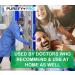Purefypro Disinfectant Spray - 99.9999% Virus Elimination - Hospital Grade, Unscented, No Residue - 16 Fl Oz (Pack of 2) - Buy Online on GoSupps.com