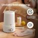 Bear 1000mL Top Fill Humidifier for Bedroom - 10 Hour Run Time, Essential Oil Compatible, Auto Close, Manual Control - Buy Online on GoSupps.com