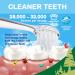 Brush-Baby WildOnes Kids Electric Bear Toothbrush | Rechargeable, 3 Brush Heads, USB Charging Cable | Ages 0-10 - Buy Online on GoSupps.com
