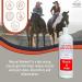 Natural Release Muscle Gel Treatment - Horse Liniment for Sore Muscles, Joint Pain, Tendon & Inflammation Relief - Easy to Use, Fast Acting, Alcohol & Menthol Free (16 oz) - Buy Online on GoSupps.com