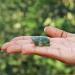 Labradorite Tortoise - Good Luck Natural Reiki Healing Stone | Small Grey Tortoise Crystal - Buy Online on GoSupps.com