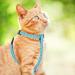 BINGPET Pineapple Pattern Cat Harness and Lead Set - Escape Proof Adjustable Vest for Small, Medium, Large Kittens - Buy Online on GoSupps.com