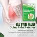 GARNET Knee Pain Relief Patches 12Pcs - Arthritis Joint Relief for Muscle Soreness in Knee, Shoulders, Neck, Knees & Legs - Buy Online on GoSupps.com