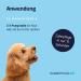 Dog Care24 Dental Spray for Dogs & Cats | Healthy Teeth & Fresh Breath | Natural Ingredients (150ml) - Buy Online on GoSupps.com
