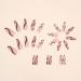 Justotry 24 Pieces Heart Coffin Nails - Brown French Press-On Floral Ballerina Fake Nails for Women - Buy Online on GoSupps.com