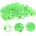 Beavorty 200 pcs Racing Digital Indoor Bands Identification Clip- Plastic Band Chick Pigeon Bird Leg 1X1X0.8CMx2pcs Greenx2pcs - Buy Online on GoSupps.com