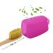 Rnaqpiao Toothbrush Protector Cover Case - Travel Toothbrush Covers (5-pack) - Transparent/Pink/Blue/Red/Light Blue - Buy Online on GoSupps.com