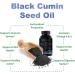 Premium Black Seed Oil Capsules 1000mg - Virgin Cold Pressed Nigella Sativa Oil Pills - 120 Caps (2 Month Supply) - Buy Online on GoSupps.com