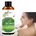 Tea Tree Shower Gel Hydrating Body Wash Nourishing Shower Gel for Dry Skin Natural Shower Gel Firming Shower Gel for Women & Men
