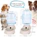 Automatic Cat Water Dispenser & Food Mat - 1.5 Gallon Capacity (Grey) | For Small to Medium Pets - Buy Online on GoSupps.com