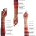 L'Oreal Paris Les Macarons Matte Liquid Lipstick 838 Berry Cherie 31g - Pack of 1 | Long-Lasting Formula - Buy Online on GoSupps.com