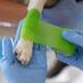 Efuturime 16 Self-Adhesive Bandage | 10cm 5cm 2.5cm 4.5m | Colorful Elastic Fixing Bandage for Sports & Pets - Model L 16PCS-L - Buy Online on GoSupps.com