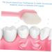 Angoily Extra Soft Travel Toothbrush - 4 Pack Collapsible Children's Toothbrush with Natural Bristles | Lightweight & Compact for International Shipping - Buy Online on GoSupps.com