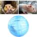 Hamster Ball TAIZER 2Pcs Hamster Run Ball Hamster Exercise Ball Hamster Exercise Wheel Mini Jogging Running Ball Plastic Pet Rodent Mice Gerbil Jogging Ball Funny Toy Small Animal Pet Exercise Playing - Buy Online on GoSupps.com