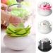 Profusion Circle Lotus Cotton Bud Holder - Stylish Toothpick Storage Box in 4 Colors | Home Decor - Buy Online on GoSupps.com