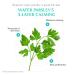 RATAPLAN Water Parsley Calming Cleanser | BHA Salicylic Acid | Acid-Balanced Formula for Sebum & Bacteria Removal | 5.07 fl. oz (150ml) - International Shipping Available - Buy Online on GoSupps.com