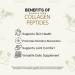 Nopalina Hydrolyzed Collagen Peptides Powder - Type I & III Grass Fed Pasture Raised Bovine Collagen - 20g Per Serving Unflavored 320g (16 Servings) - Buy Online on GoSupps.com