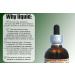 Red Root Alcohol-Free Liquid Extract - 2 oz Dried Root Bark Glycerite - Ceanothus Americanus Herbal Supplement - Buy Online on GoSupps.com