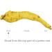 Vigorwell Premium 4-Year Large American Ginseng Slice (80G/2.8OZ X 2 Bottles)-Proudly from Canadian Ginseng Farm - Buy Online on GoSupps.com