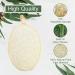 Eponge Loofah Douche 4 Pi ces Eponge Naturelle de Luffa Exfoliante ponge de Douche R utilisable Gants de Gommage avec Bande lastique Pour Visage Corps - Buy Online on GoSupps.com