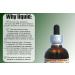 Red Root Alcohol-Free Liquid Extract - 2 fl.oz - Natural Herbal Supplement - Buy Online on GoSupps.com