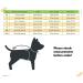 Buy Petitebelle National Theme Dog Jersey Size L - USA-1 | Stylish & Comfortable Dog Apparel for Pets - Buy Online on GoSupps.com
