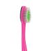 Shop SmileGoods Y333 Rock n Smile Guitar Youth Toothbrush - Bulk Pack of 72 Soft Bristle Fun Guitar Grip Assorted Colors for Kids - Buy Online on GoSupps.com