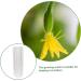 Yardwe 8 Pcs Vegetable Shaping Mold Fruit Vegetable Shaper Mold Garden Cucumber Mold Watermelon Suite - Buy Online on GoSupps.com