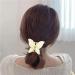 12 Pack Colorful Frosted Butterfly Hair Clips - Y2K Hair Accessories for Women, Girls, Kids - Buy Online on GoSupps.com
