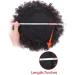 Hair Bun Hairpiece for Women Brazilian Updo Afro Puff Human Hair Bun Chignon Hairpiece Short Drawstring Ponytail Kinky Curly Clip in Non-Remy Hair Ponytail Extensions Hair Chignons(6inch) - Buy Online on GoSupps.com