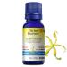 Divine Essence Organic Ylang Ylang III
