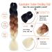 3 Packs Ombre Kanekalon Jumbo Braiding Hair Extensions - 24 Inch Synthetic Crochet Twist (C15-6Pack) | International Shipping Available - Buy Online on GoSupps.com