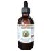 Gymnema Alcohol-Free Liquid Extract Organic Gymnema (Gymnema Sylvestre) Dried Leaf Glycerite Hawaii Pharm Natural Herbal Supplement 4 oz