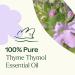 Plant Therapy Thyme Thymol Essential Oil 10 mL (1/3 oz) 100% Pure Undiluted Natural Aromatherapy for Immune Support and Digestive Relief - Buy Online on GoSupps.com