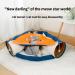 TANZEDMI Cat Tunnel Bed Set with Collapsible Tube and Removable Cushion Mat - Peak Hole Hideout House for Cats, Puppies, and Kittens - Includes 2 Scratching Balls - Orange/Blue - Buy Online on GoSupps.com