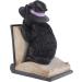 Buy Colorful Witch Cat Bookends - Perfect for Book Lovers & Halloween Decor | International Shipping Available - Buy Online on GoSupps.com