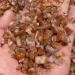 Home Natural Crystal Gold Sunstone Natural Rock Minerals are Used The s (Size : 200-300g) - Buy Online on GoSupps.com