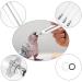 ZYFFHG Syringe Birds Feeding Syringe Parrot Feeding Tubes Feeding Syringe 50ml Plastic Syringe Hand Rearing Feeding Syringes Pet Syringe 5cm * 4mm Used for Pet Sick Bird Parrot Feed Milk or Medicine - Buy Online on GoSupps.com